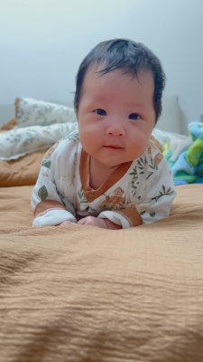 8d40c762f34e58242521036d8fa56864